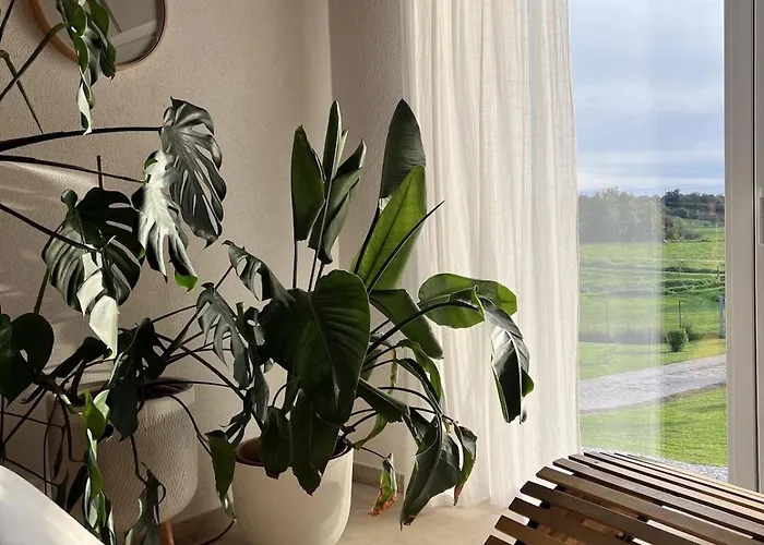 Hacienda Napoli Holiday home *